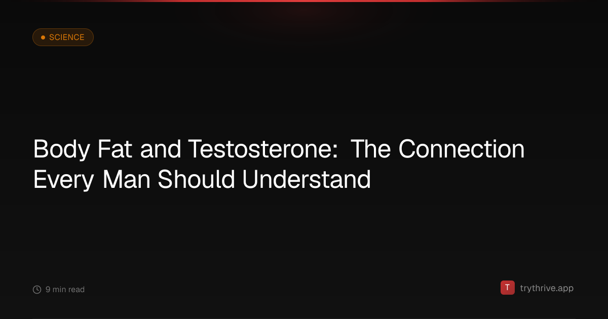 Body Fat and Testosterone: The Connection Every Man Should Understand ...